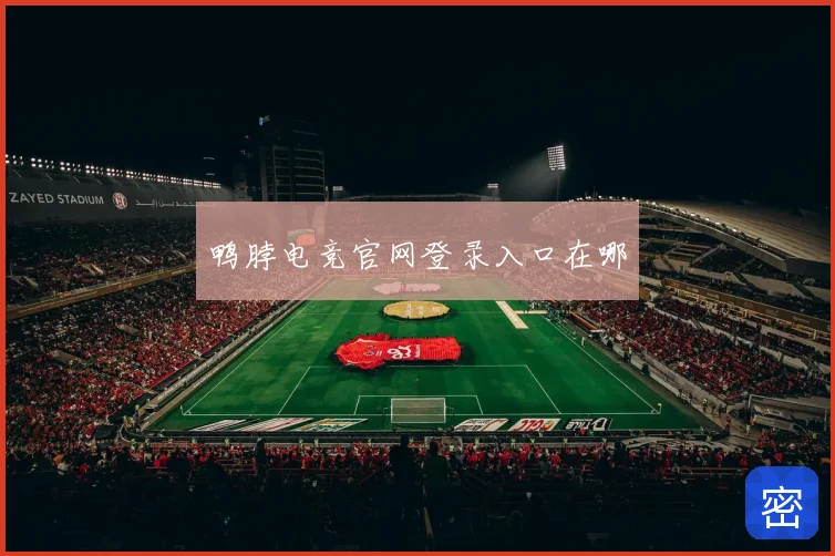 鸭脖电竞官网登录入口在哪