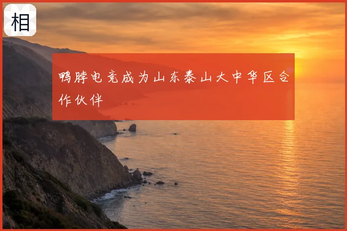 鸭脖电竞成为山东泰山大中华区合作伙伴