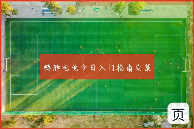 鸭脖电竞今日入门指南合集