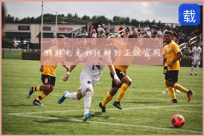 鸭脖电竞如何辨别正版官网
