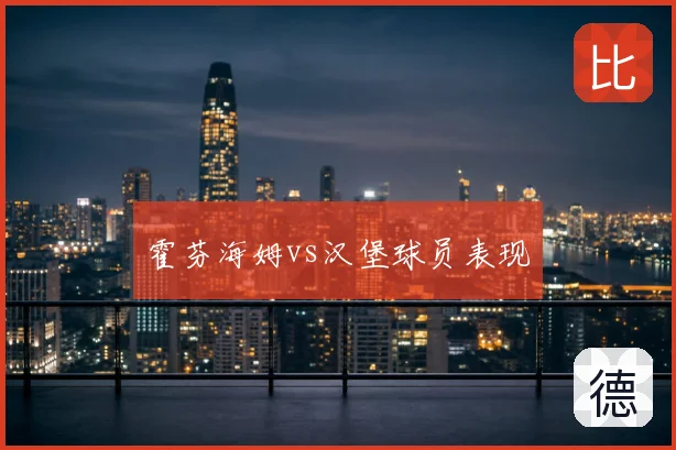 霍芬海姆vs汉堡球员表现